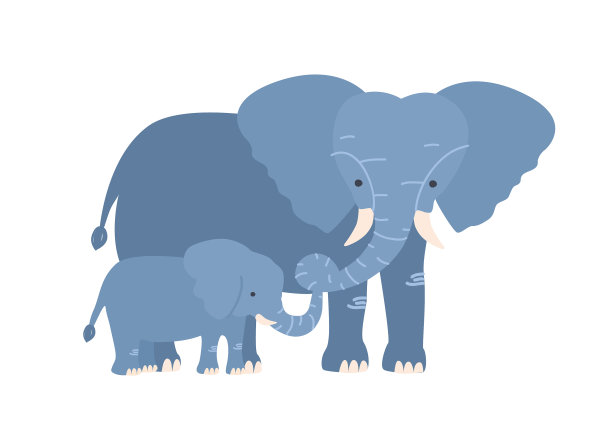 白色背景上孤立的小象图片下载