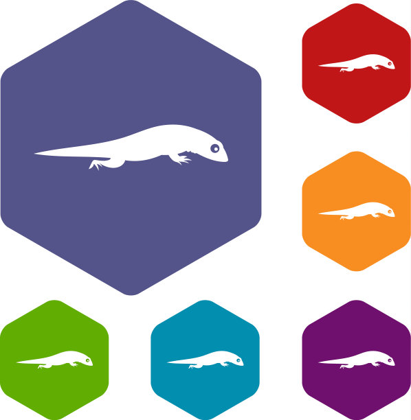 蜥蜴图标设置图片下载