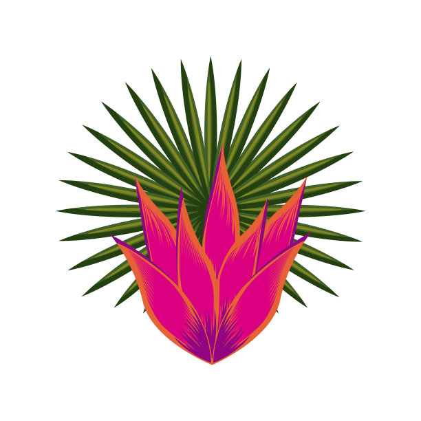 热带花卉设计图片下载