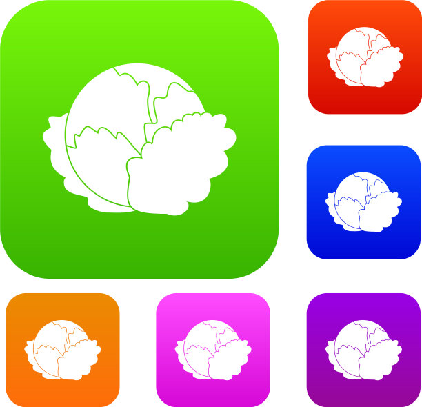 卷心菜集合图片下载