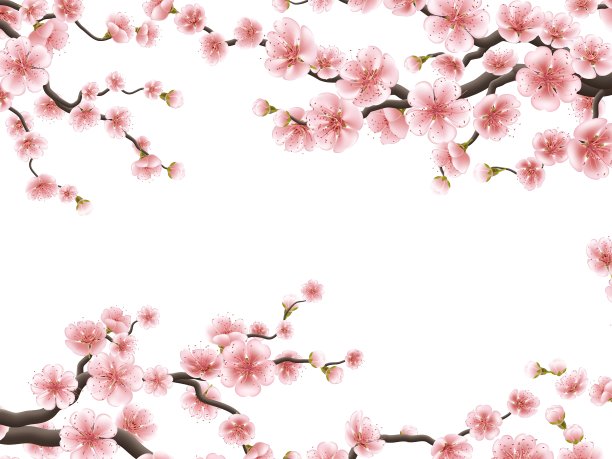 樱花为您设计EPS 10图片下载