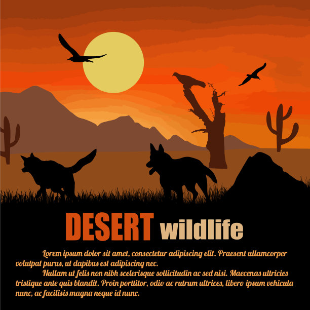 沙漠野生动物海报狼的剪影图片下载