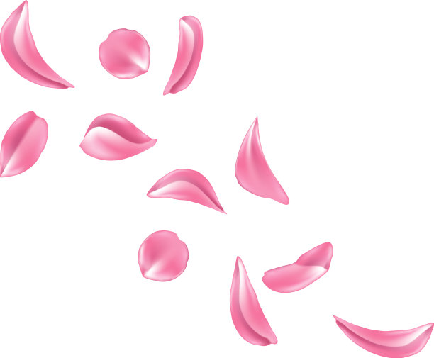 逼真的玫瑰樱花花瓣集图片下载