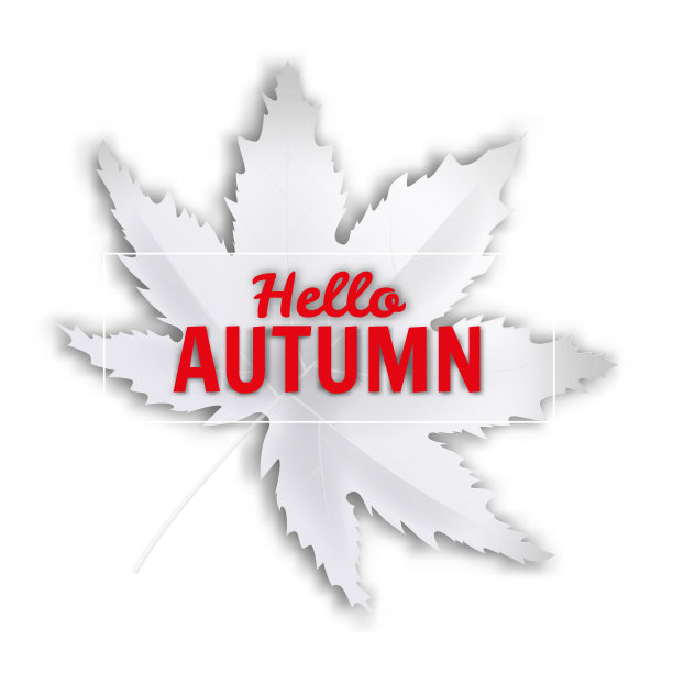 秋叶白白的，秋色的，秋你好图片下载