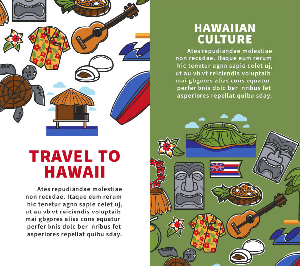旅游夏威夷垂直海报与国家图片下载