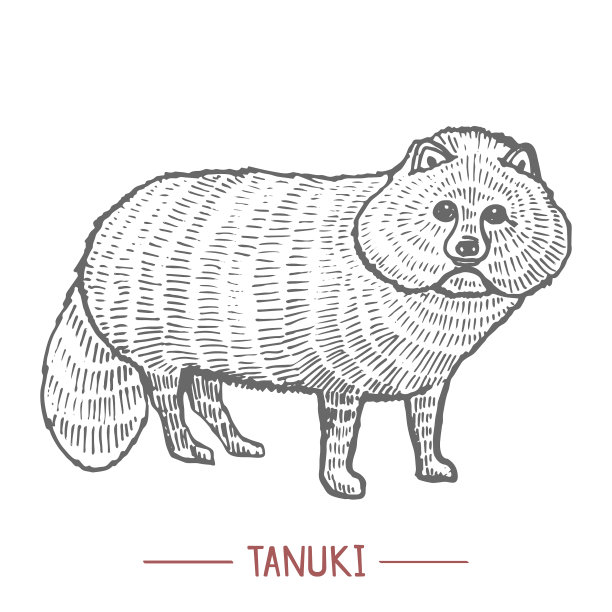 Tanuki手绘风格图片下载