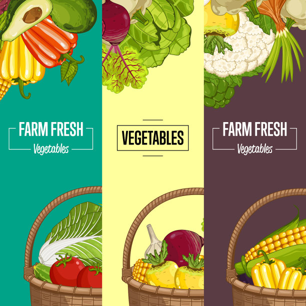 有机蔬菜种植传单集图片下载