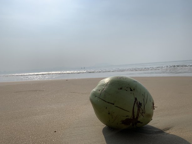 南海的黎明图片下载