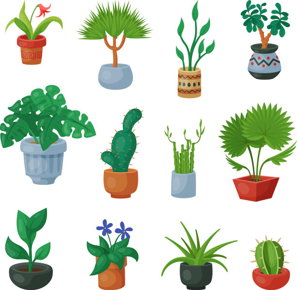 植物在花盆里盆栽开花图片下载