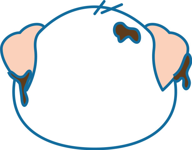 孤立可爱的猪脸图片下载