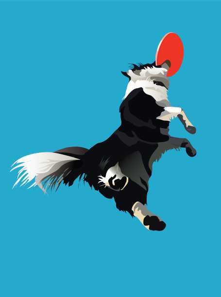 蓝色背景下狗的特写镜头图片下载