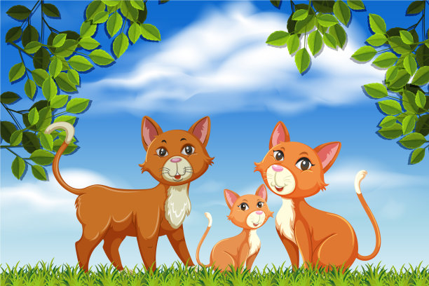 大自然中的猫图片下载