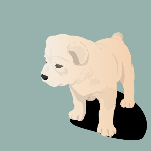 想象一只可爱的小狼犬图片下载