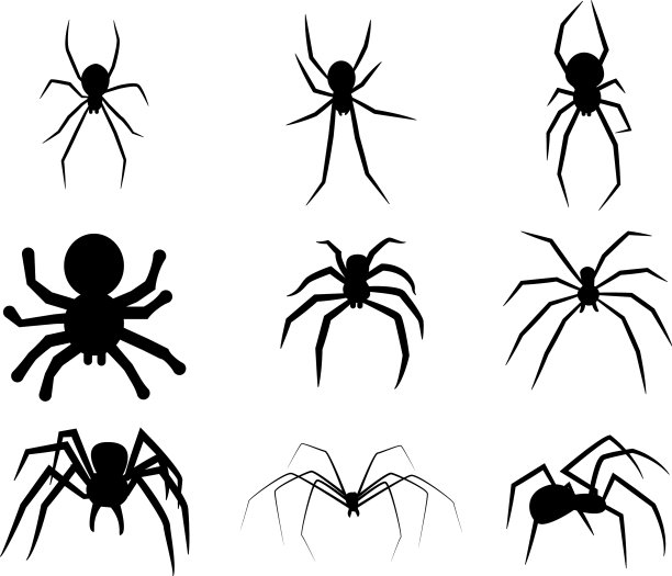 集黑色剪影蜘蛛图标孤立上图片下载