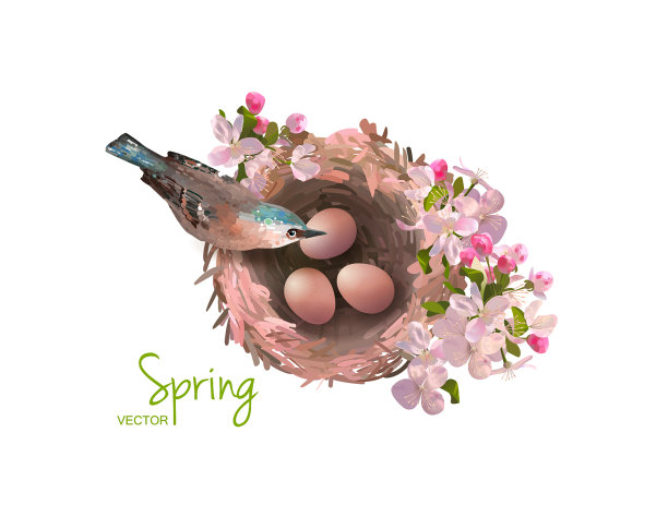 鸟在筑巢图片下载