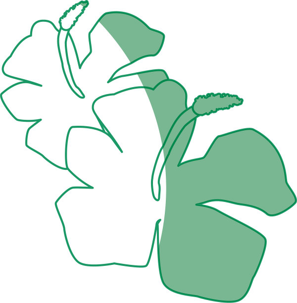 漂亮的花装饰图片下载