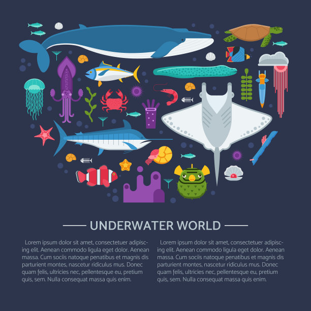 海洋生物概念卡图片下载