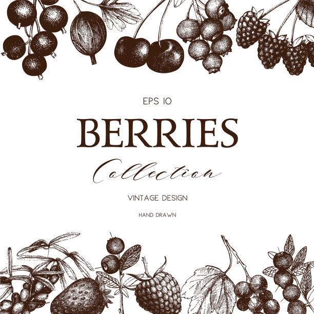 卡片和手绘浆果图片下载
