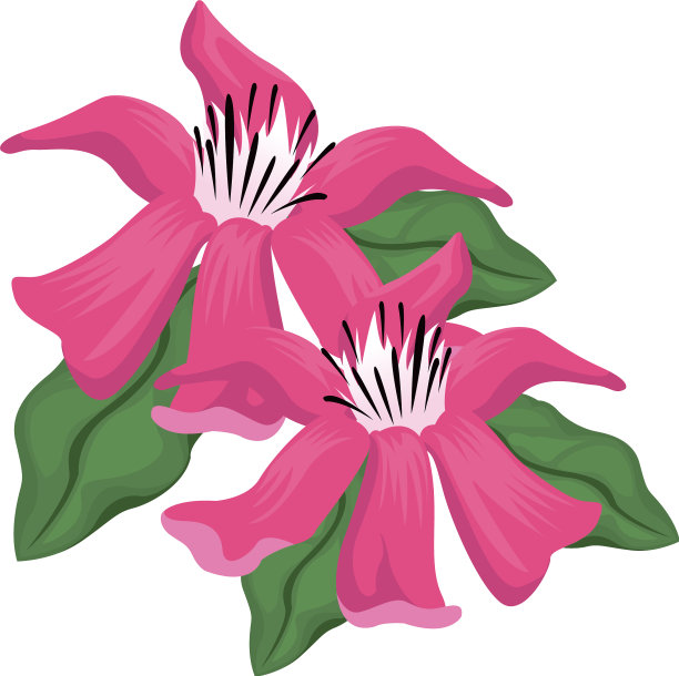 热带花卉设计图片下载