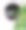 热带设计的横幅或传单图片下载