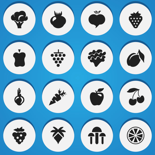 一组16可编辑的水果图标包括符号图片下载