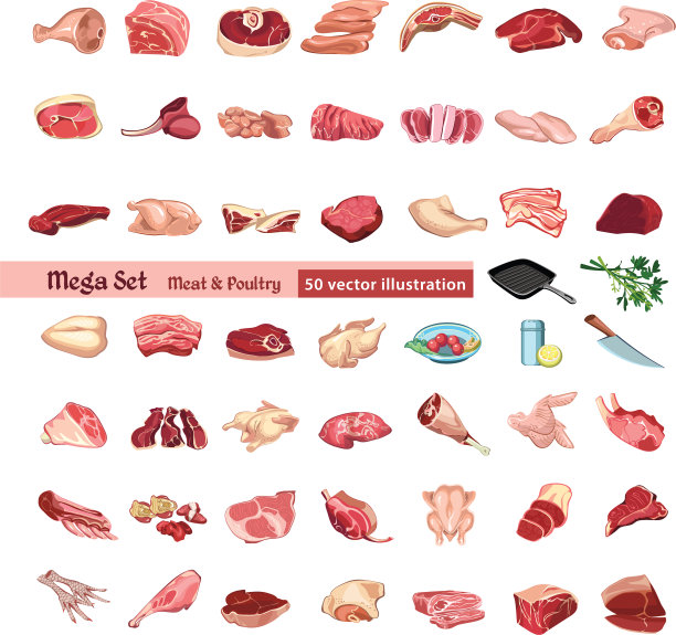 彩色家禽和肉类元素集图片下载