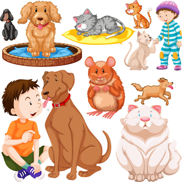 与动物隔离的儿童图片下载