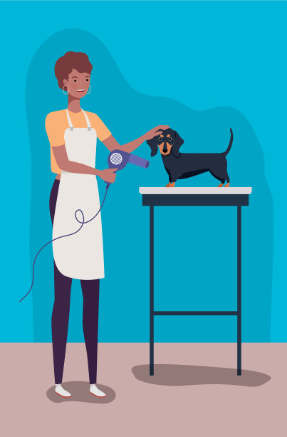 可爱的dashhund狗宠物性格图片下载