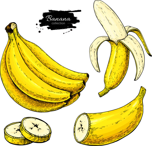 香蕉套画孤立手绘图片下载