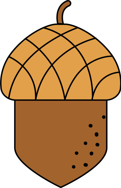 孤立的橡子设计图片下载