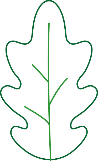 孤立的叶片设计图片下载