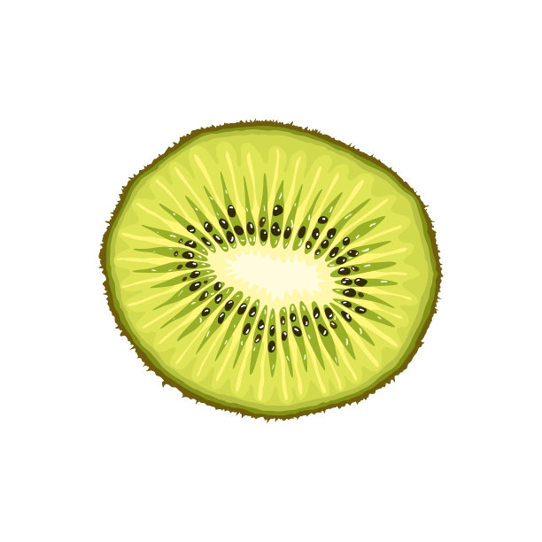 猕猴桃切片逼真的扁平热带水果猕猴桃图片下载