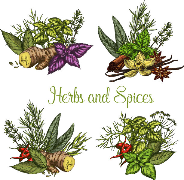 香料和香草调味小品图片下载