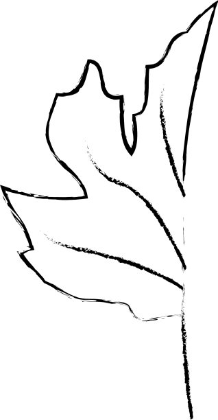 孤立的叶片设计图片下载