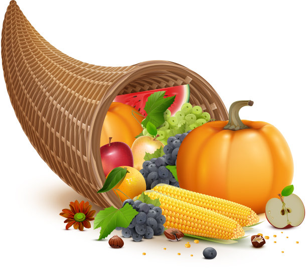 丰衣足食，为感恩节盛宴日丰衣足食图片下载