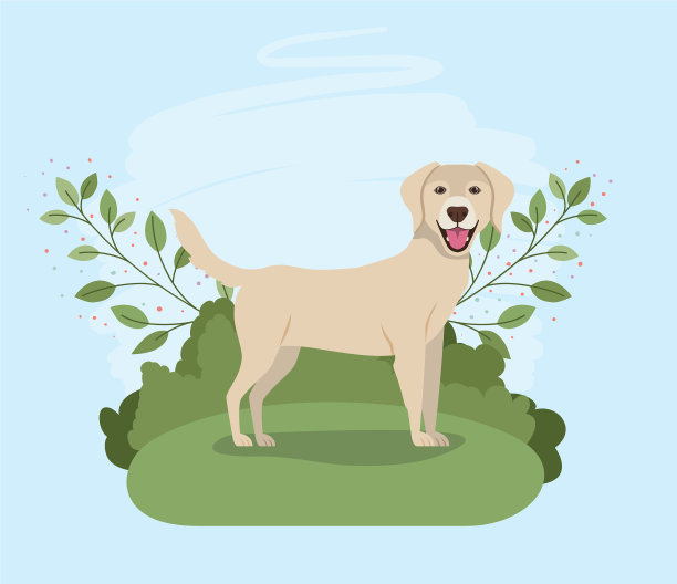 可爱的拉布拉多寻回犬宠物性格图片下载