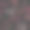 图案与肉制品上的黑色图片下载