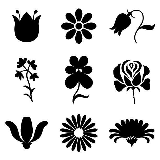 剪影风格的花集图片下载