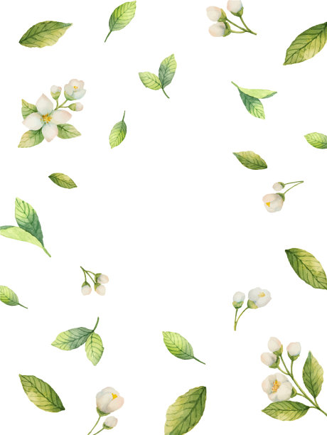 水彩花枝框架图片下载