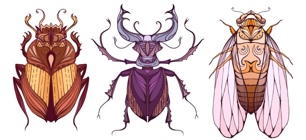 昆虫的颜色与部落图案涂鸦图片下载