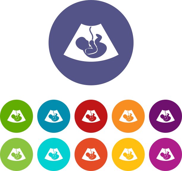 超声胎儿定形图图片下载