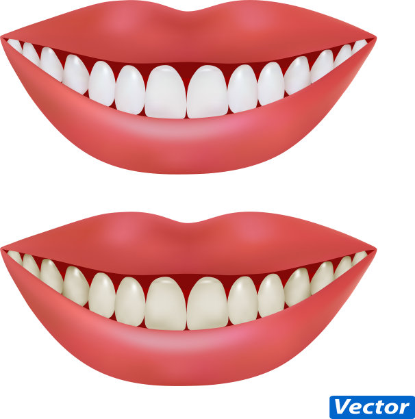 一个逼真的女性嘴巴，嘴唇和牙齿在一个图片下载