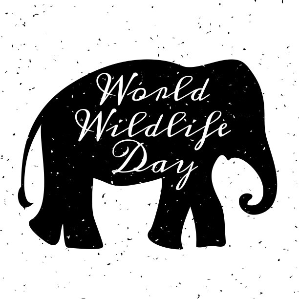 世界野生动物日图片下载