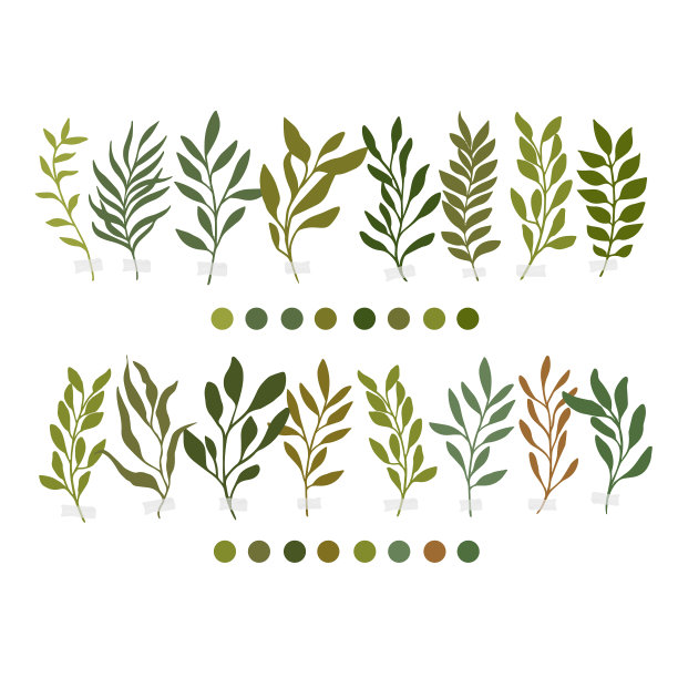 植物植物剪纸艺术图片下载