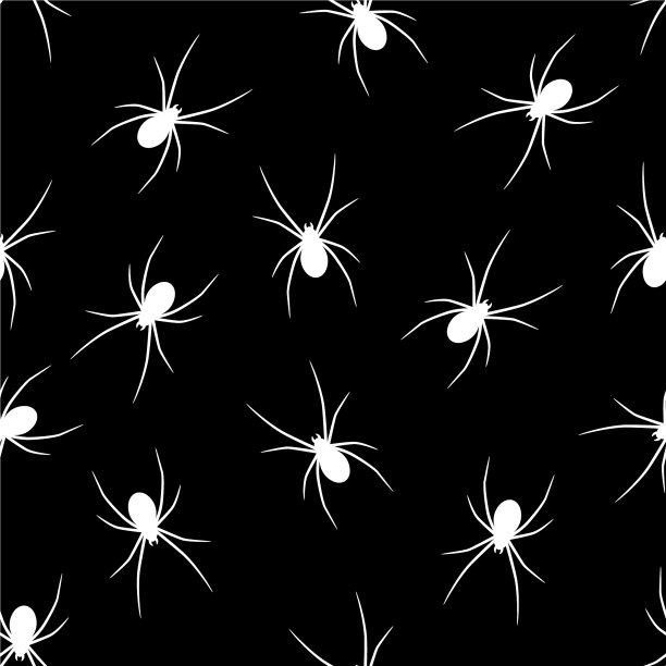 一组白色的蜘蛛剪影在黑色的背景图片下载