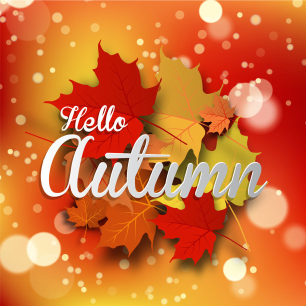 秋天的背景带着树叶回到学校图片下载