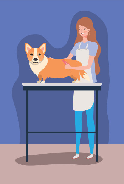 可爱的柯基狗宠物性格图片下载