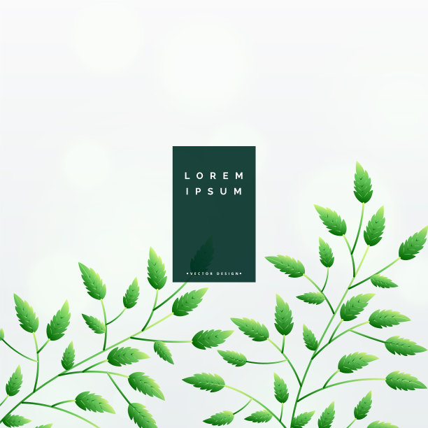 优雅的绿叶背景设计图片下载