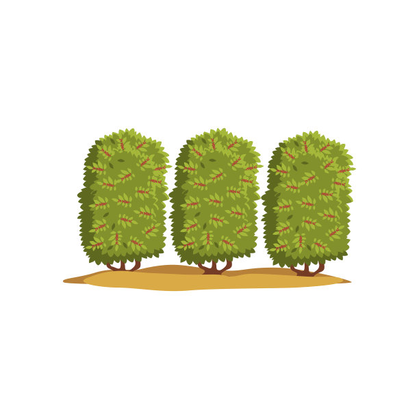 咖啡树种植园图片下载