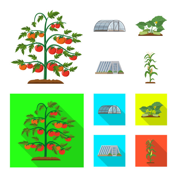 设计温室和植物标志集图片下载